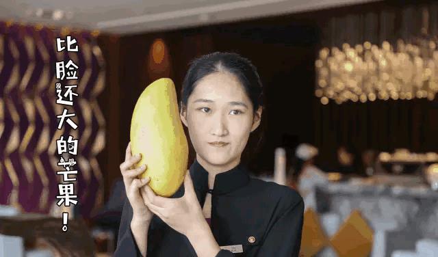 什么季节种植芒果最好，芒果什么时间种植比较好（芒果优质产区攀枝花的“巨无霸”）