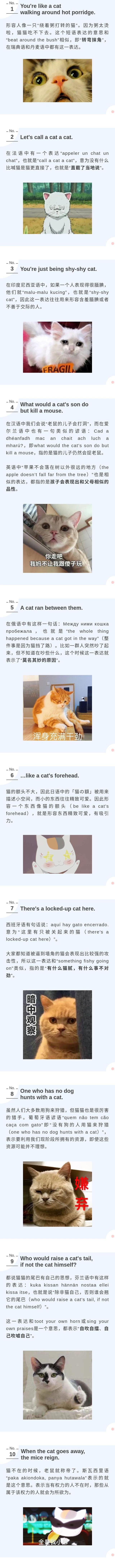 好奇害死猫是什么意思，好奇害死猫是什么意思解释（各国人民都说过猫咪哪些“坏话”）