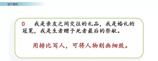 鏖战犹酣的意思，鏖战犹酣的意思近义词（部编版六年级语文上全册课文课后习题参考答案）