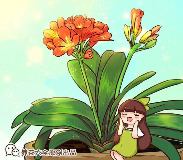 瓜子属于坚果吗，瓜子花生属于坚果类吗（给花吃点瓜子）