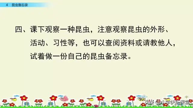 什么的硬翅，什么的硬翅？填四个字。（小学部编三年级语文下第4课《昆虫备忘录》图文+知识点+同步练习）