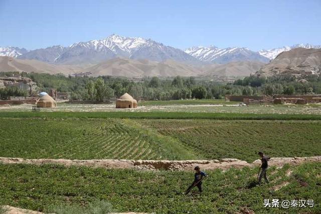 酋长是什么意思，阿拉伯酋长是什么意思（塔利班为何要建立“酋长国”）