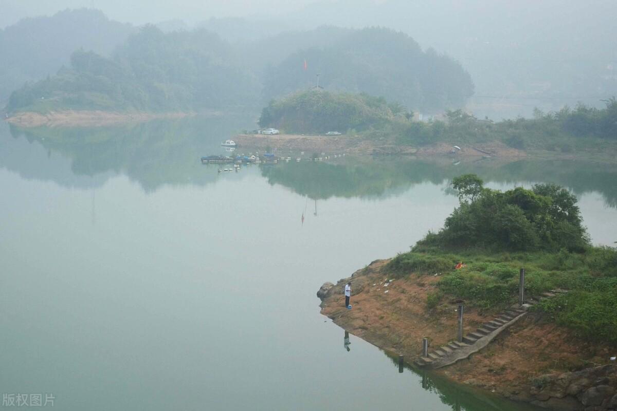 野外垂钓挑战大，鲫鱼狡猾难上钩，耐心与技巧缺一不可，钓友需全力以赴方有收获。