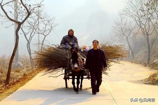 搓脚石是什么石头，搓脚石是什么石头做的（梁汉生：童年记忆）