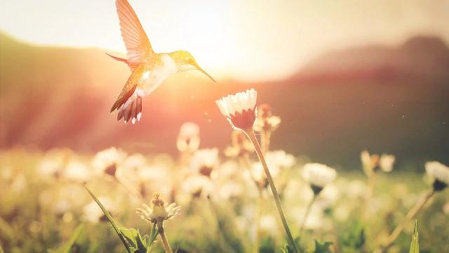 波澜不兴是什么意思，波澜不惊是什么意思（26个春天的成语）