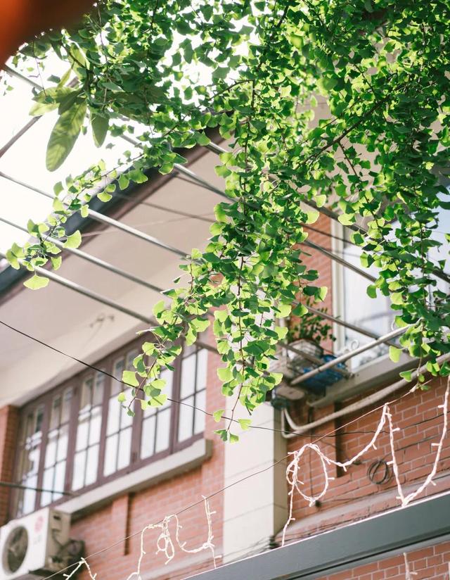 上海田子坊有什么好玩的，上海类似田子坊的地方可以逛的（救救田子坊！别让它消失）