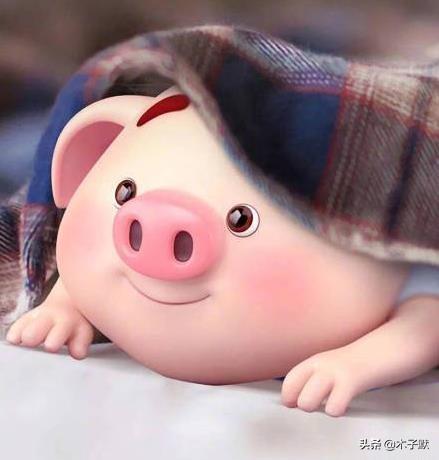 喜乐无忧什么意思，欢喜无忧的意思（新年心愿：所爱之人）