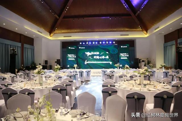 lafetto是什么运动品牌，LA运动品牌（深耕海南，助力自贸港建设）