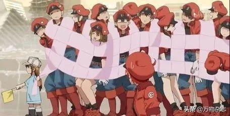 桑蚕丝衣服容易皱怎么办，桑蚕丝衣服真的不要买（衣服为什么动不动就皱巴巴）