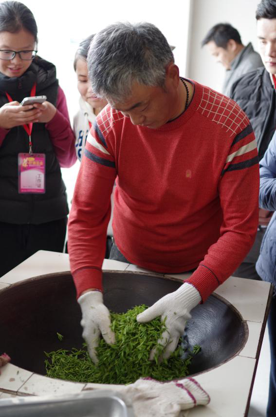 碧螺春属于什么茶，碧螺春属于什么茶类它的口感如何（一个东北爱茶人眼中的苏州碧螺春）