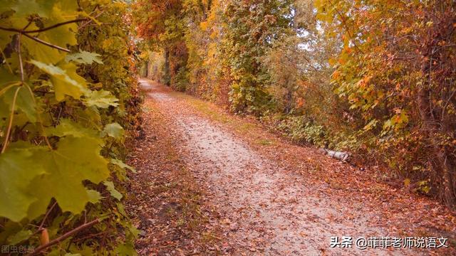 词语鲜血读音，鲜血读音（七年级语文上册第二单元知识梳理清单。预习复习可用）