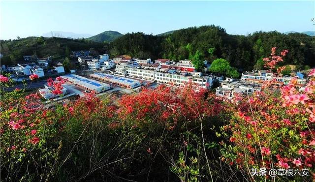 金寨灵山寺在哪，谢谢你，金寨