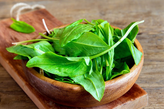 酸模可以吃吗，酸模怎么做菜吃（农村田里常见野草）