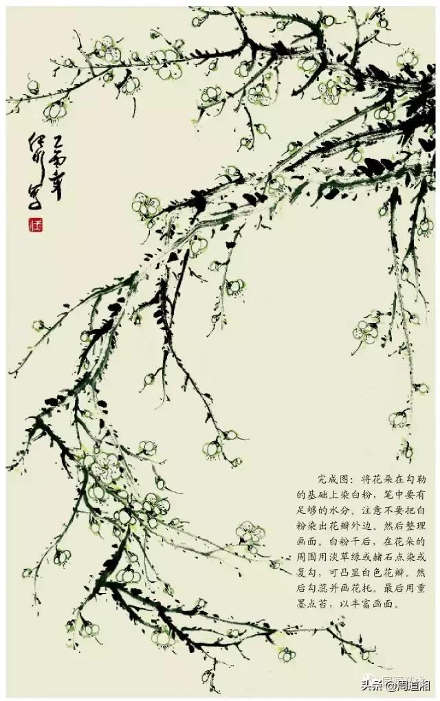 梅花13怎么手绘画，教梅花13怎么画（国画入门教程——梅花的画法）