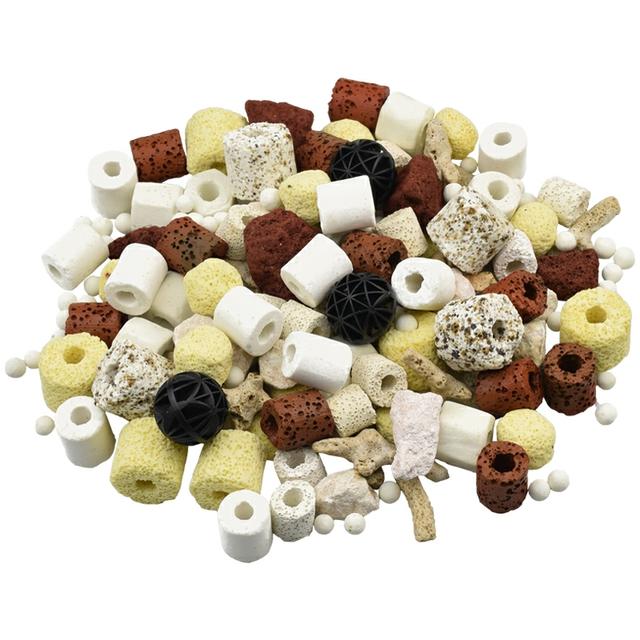 月亮鱼多少钱一条，月亮鱼的价格（预算不超200元，能不能养鱼）