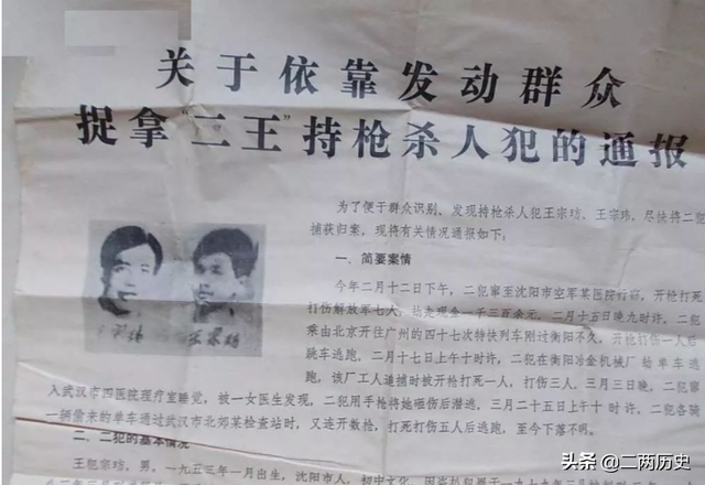 东北“二王”案件回顾：为什么案发后七个月才最终被击毙？
