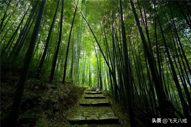 南京景点介绍，南京一日游必去景点推荐（南京九个不得不去的小众景点）