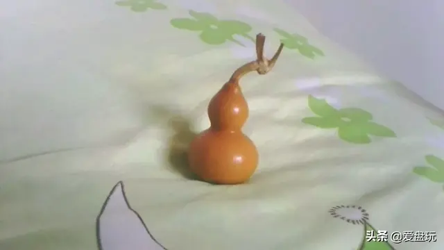 葫芦怎么盘变色快又亮的做法，资深文玩葫芦越盘越红越亮的正确开启方式（几块钱的葫芦）