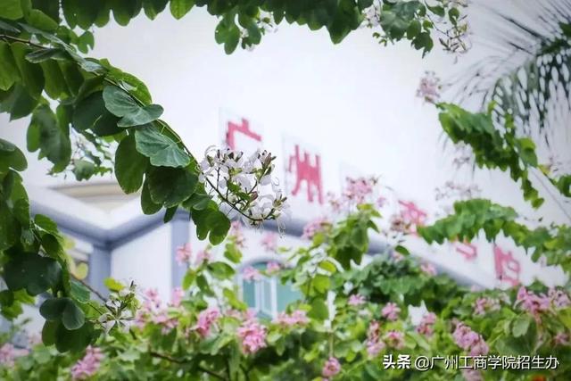 广州工商学院教务网，广州工商学院（广州工商学院普通专升本）