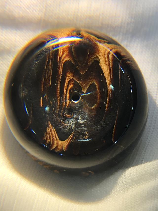 金丝柳，“金珊瑚”和“金丝柳”的替代品（金丝柳图片）