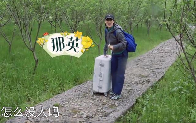 向往的生活彩灯是什么品种，向往的生活里的彩灯是什么动物（那英成《向往的生活》最“炸场”嘉宾）