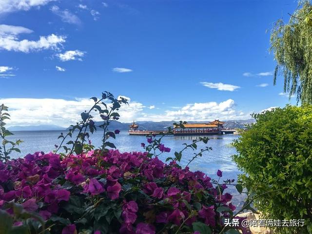 洱海海拔多少米，洱海拔多少米高（发现真是个绝佳的免费宝藏遛娃地）
