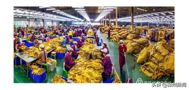 jkmtl00是什么型号，jkmal00是什么型号的（2020年凉山第二届全民手机摄影大展作品欣赏）