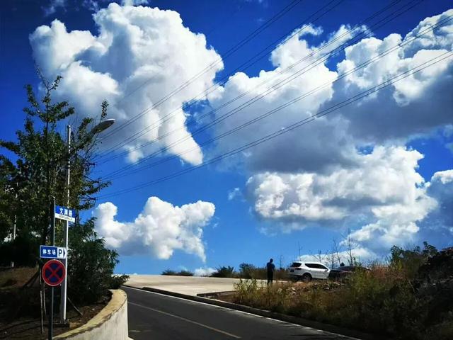 大连财经学院学费，2021年大连财经学院录取通知书查询入口_什么时候收到及发放时间（<八>大连财经学院）