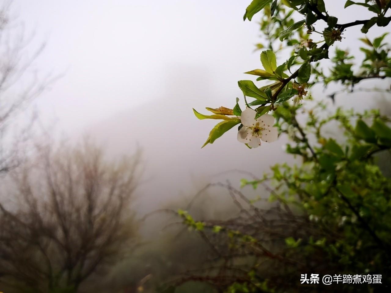 大西沟旅游风景区(辽阳大西沟旅游风景区)
