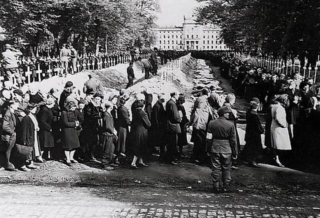 所罗门是什么意思，箴言是什么意思（犹太人和以色列人究竟是不是一回事）