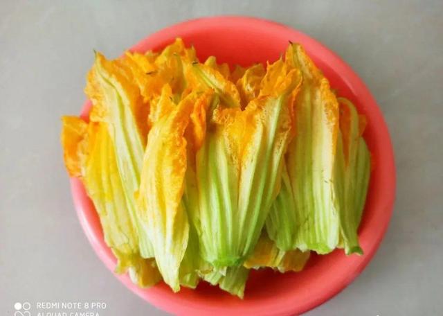 苋菜是什么菜，俗名叫什么（7月野菜金不换）