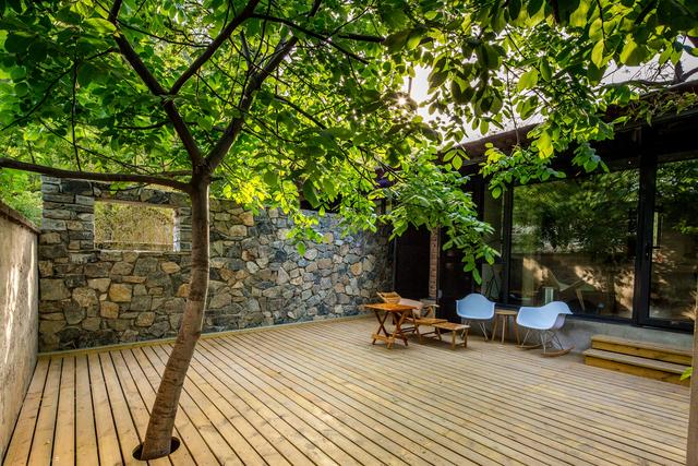 院子里最旺宅的果树有哪些，院子里最旺宅的果树有哪些品种（庭院种六树）