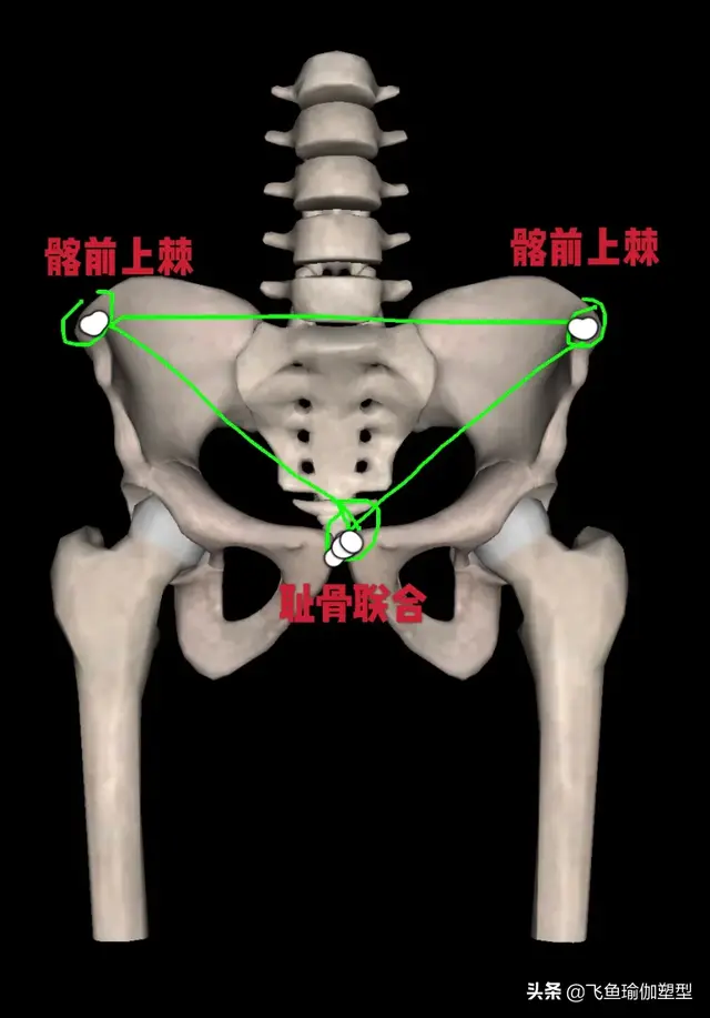 腰马合一是什么意思，腰马合一的马是什么意思（什么叫做“腰马合一”）