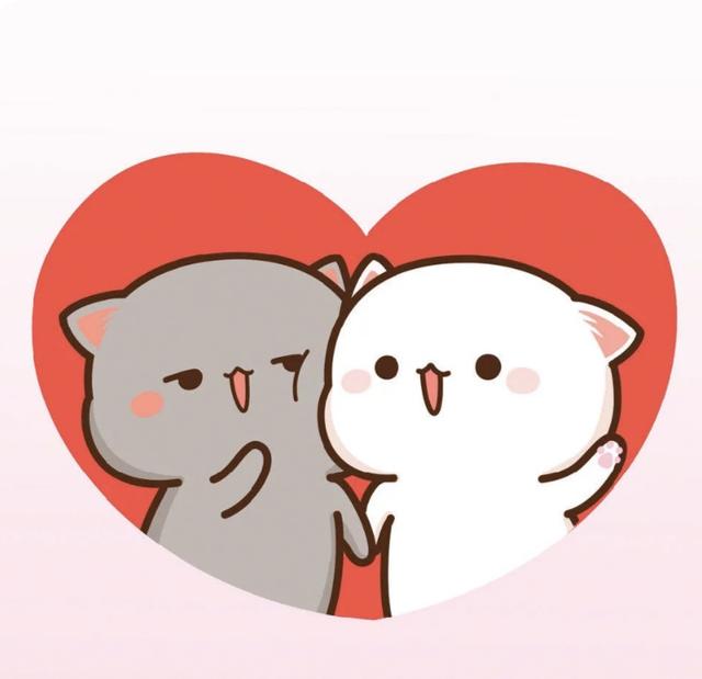猫咪情侣头像微信，猫咪情侣头像（给大家推荐几款蜜桃猫的情侣头像）