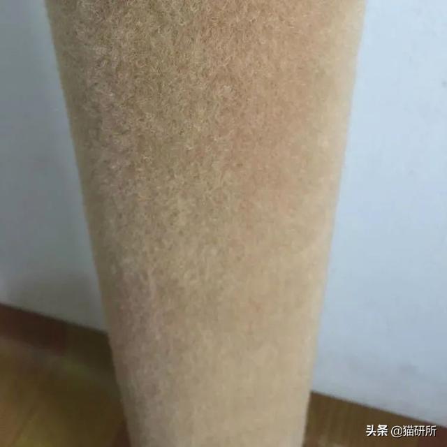 怎么防止猫咪抓沙发，怎么防止猫咪抓沙发跑（终于找到让猫咪不挠沙发的办法了）