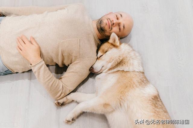 家里有蜱虫怎么处理房间，家里有蜱虫怎么处理房间（小区里溜狗可把威胁生命的草爬子带回家-养犬人你知道吗）