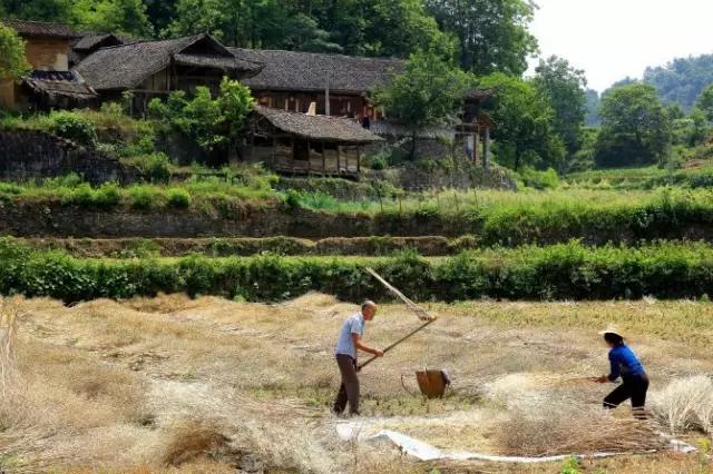 一生必去的中国50个最美地方，一生必去的中国50个最美地方图片（中国最美乡村Top10）