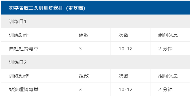 肱二头肌锻炼方法，肱二头肌长头肌的锻炼方法（荷尔蒙爆棚的二头肌训练计划）