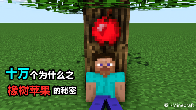 我的世界附魔金苹果怎么做，我的世界金苹果怎么做（《我的世界》为什么苹果会长在“橡树”上）