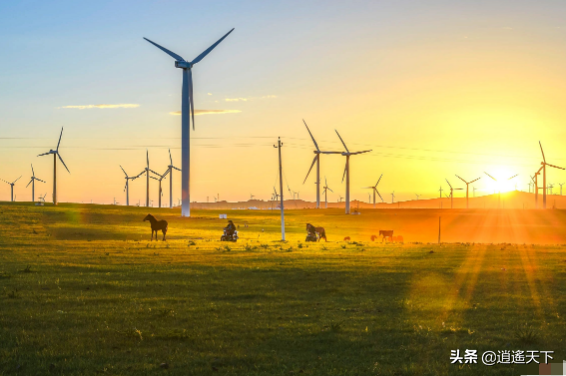 草原都有哪些类型，内蒙古的草原类型有几种（全中国最美丽的八大草原）