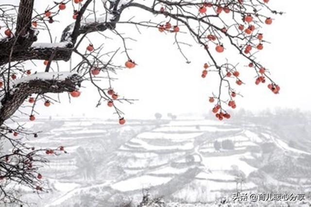 幼儿园教师最美格言，幼儿园教师师德师风总结（幼儿园丨幼师有爱）