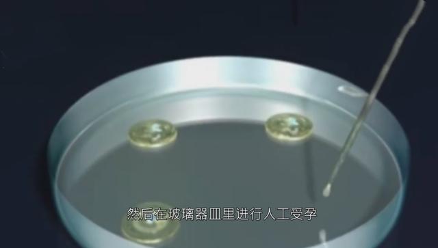 做试管婴儿痛苦吗,女人做试管婴儿痛苦吗(5张图为你“播放”整个过程) 做试管婴儿痛苦吗,女人做试管婴儿痛苦吗(5张图为你“播放”整个过程)