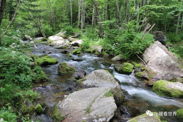 牡丹江有什么好玩的地方，敦化有什么好玩的地方（牡丹江柴河小九寨）