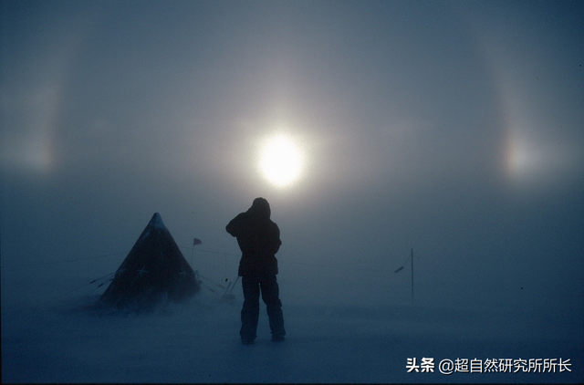 海底最深处的生物，10000米恐怖深海鱼（南极深处真的存在巨大的生物吗）