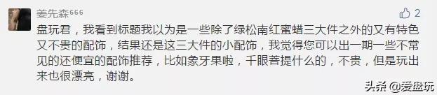 象牙果盘玩后效果图，象牙果是什么（这些小众配饰，太过瘾了）