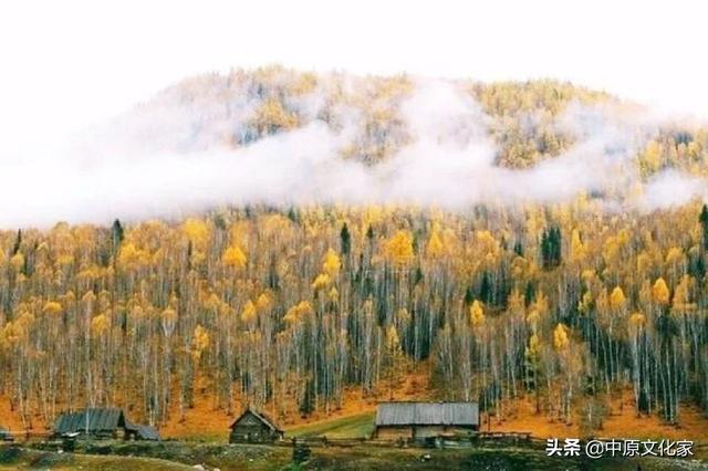 寒露是什么意思，带你了解寒露的由来（寒露时节的气候变化有何特征）