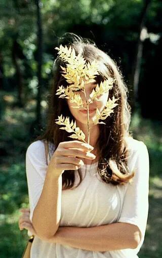 欧美 唯美，欧美唯美（欧美唯美小清新壁纸图片）