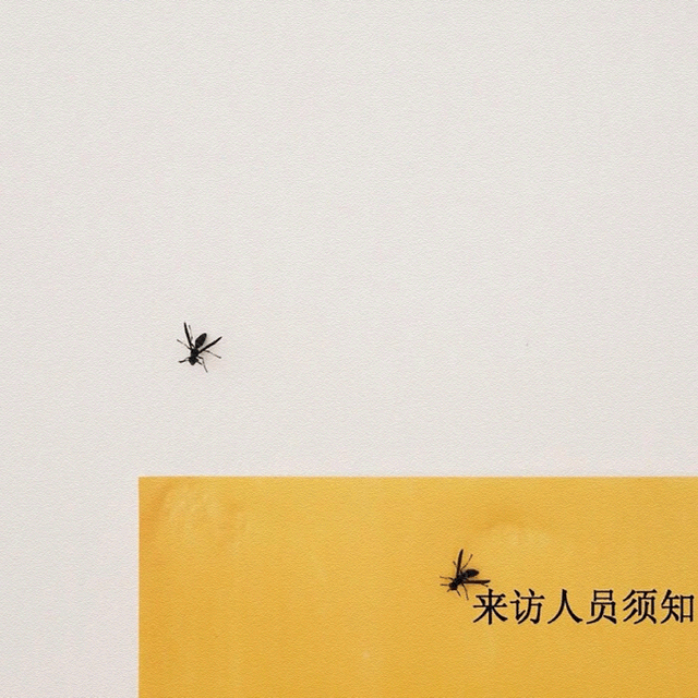 空间相册封面图片，相册图片 封面（未来很长，爱你的人，正在路上）