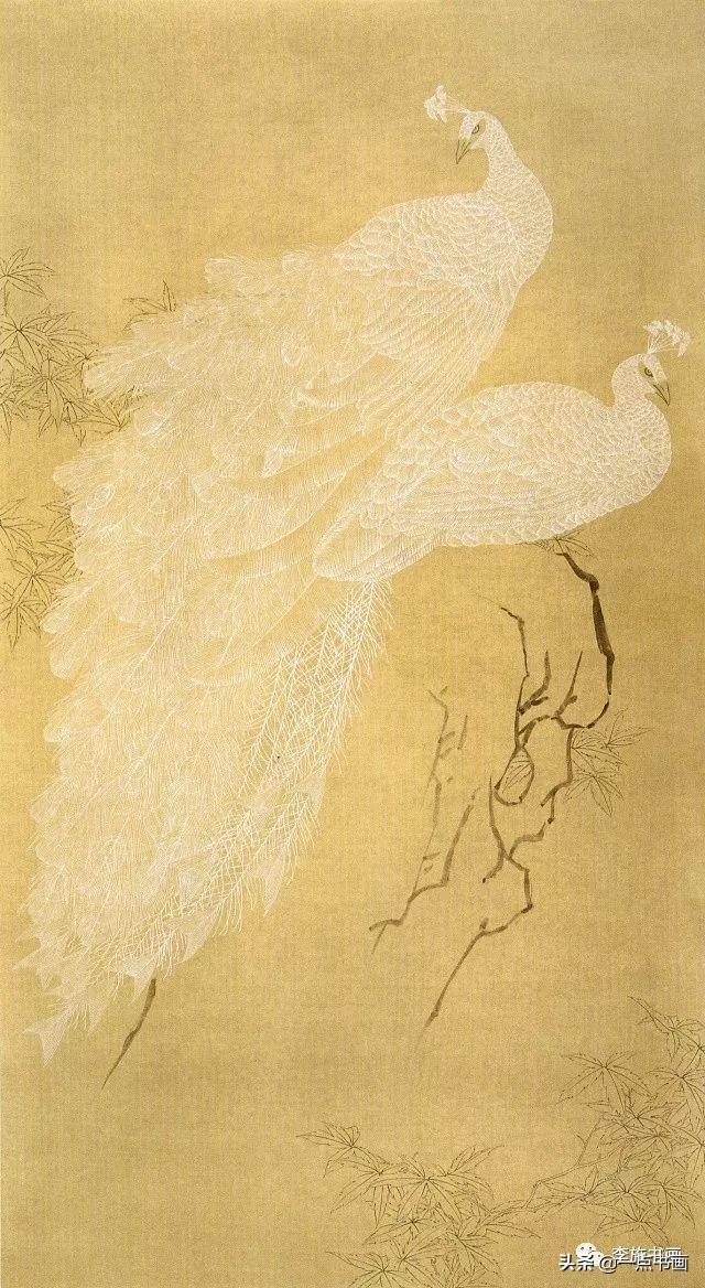 画孔雀的简笔画，如何画孔雀简笔画（国画教程——孔雀画法）