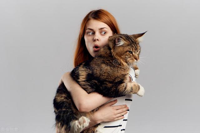 两个月大的猫咪的训养方法，怎么训练两个月的猫咪（新手怎么喂养和训练两个月的小奶猫）